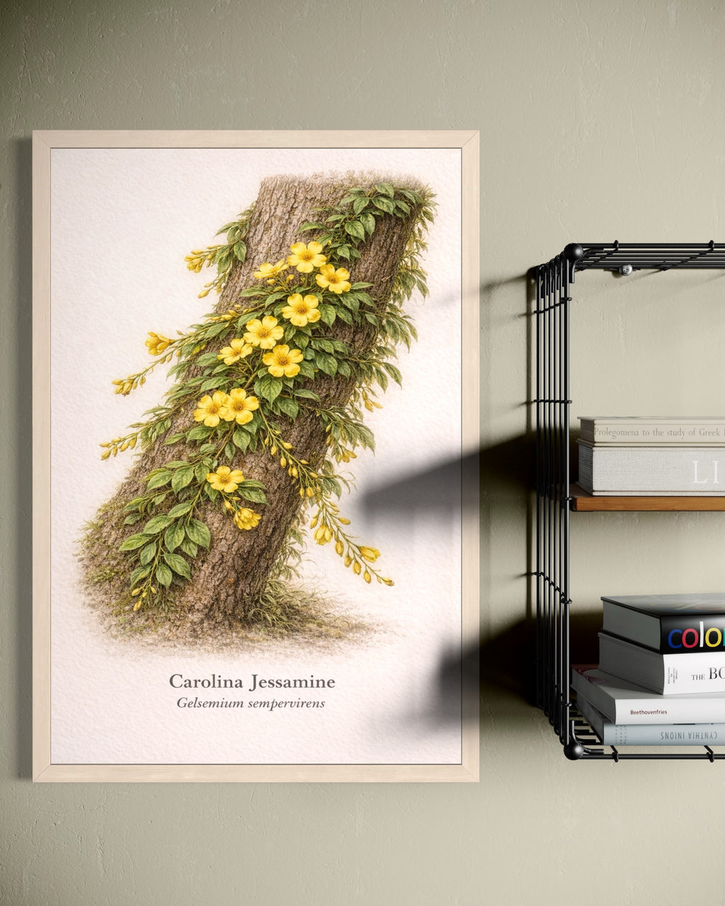 Carolina Jessamine Botanical Print | Gelsemium sempervirens Naturalist Wall Art
