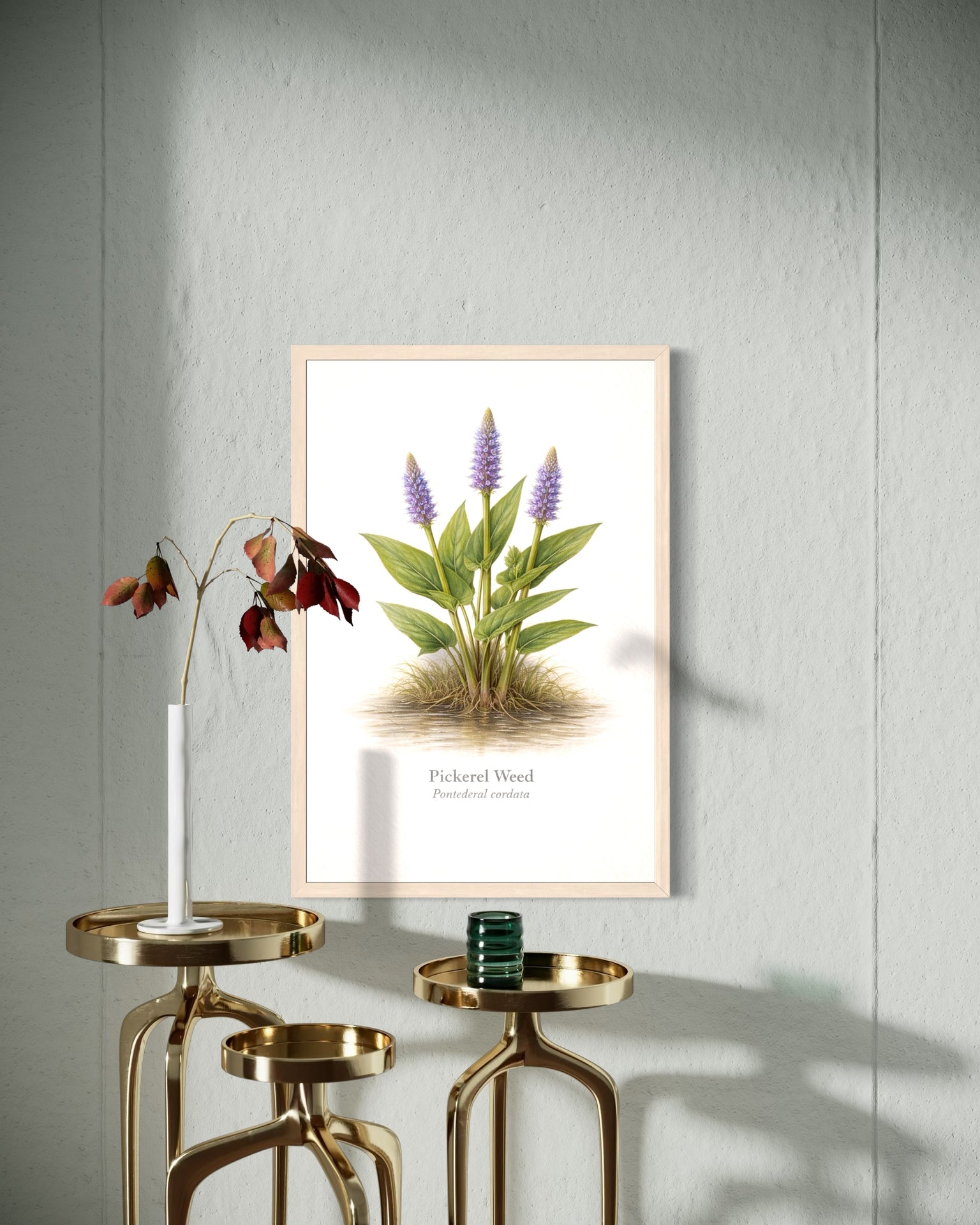 Framed botanical print of a plant on a wall with gold side tables.