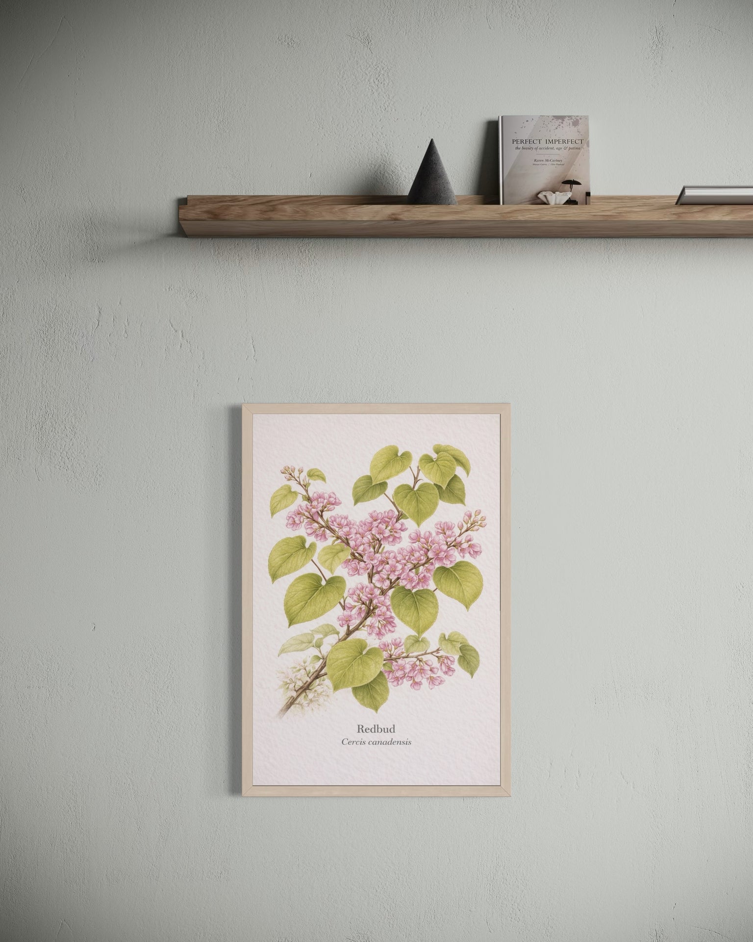 Redbud Botanical Print | Cercis canadensis Naturalist Wall Art