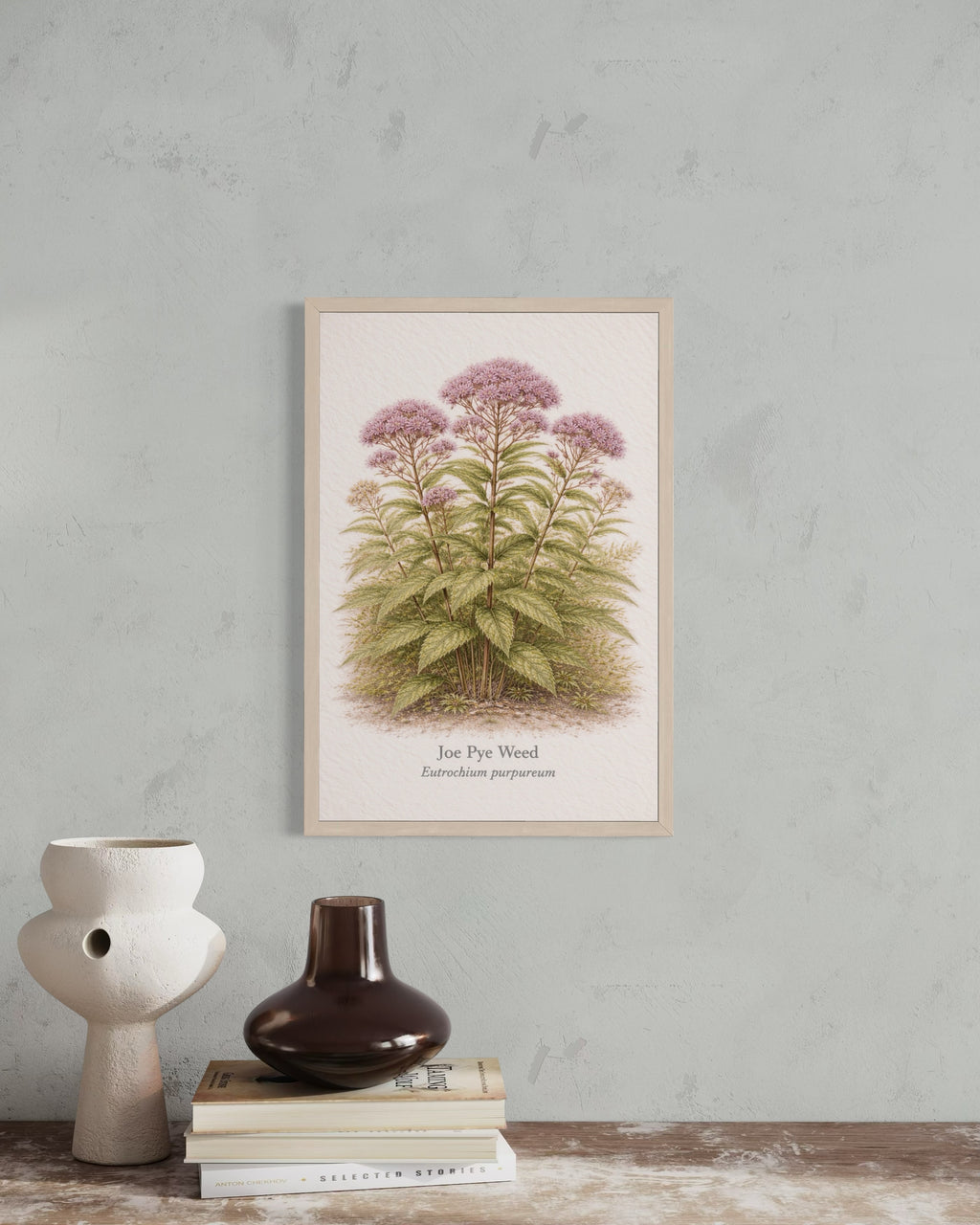 Framed botanical print of Joe Pye Weed on a wall with decorative vases and books below.