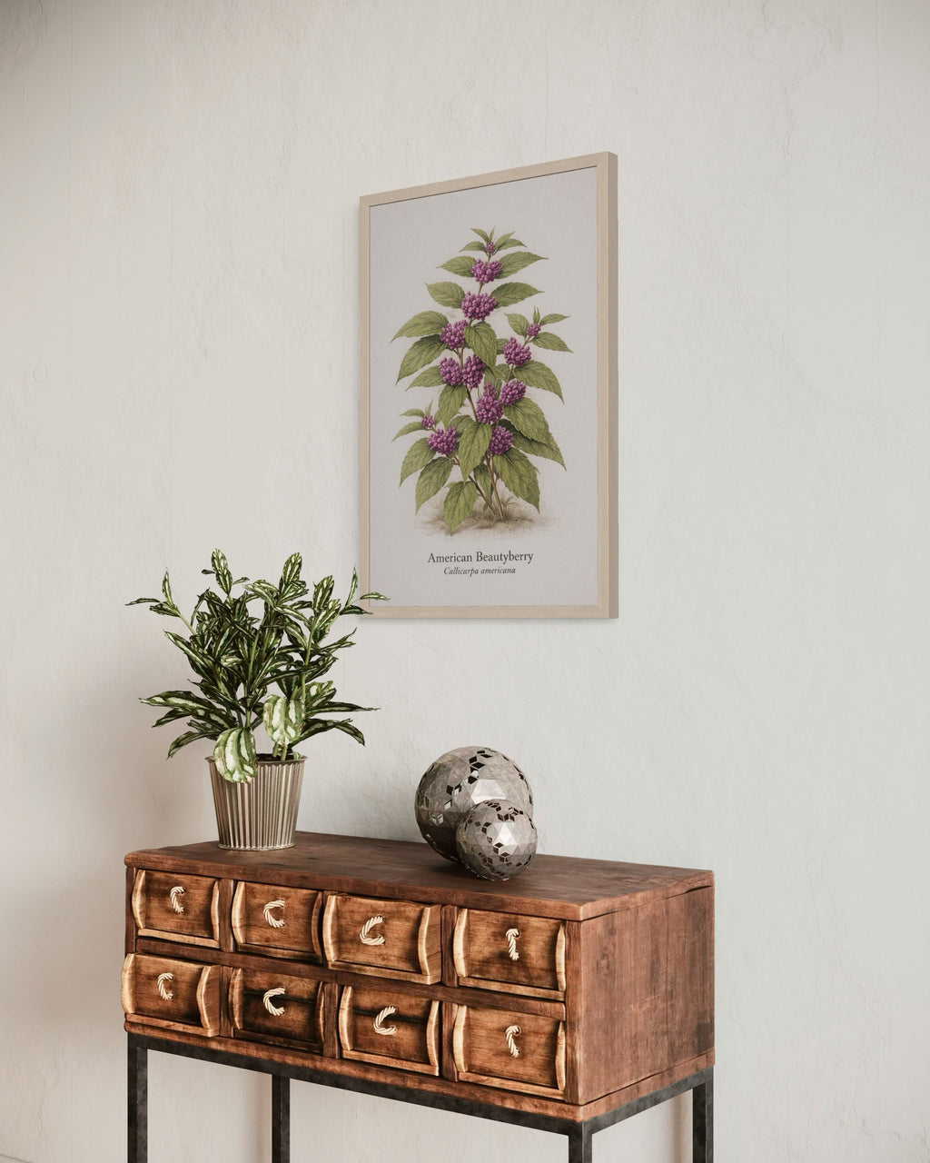 American Beautyberry Botanical Print | Callicarpa americana Naturalist Wall Art