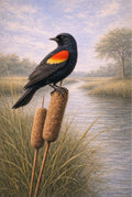 Red-winged Blackbird Wall Art | Lowcountry Marsh Bird Print