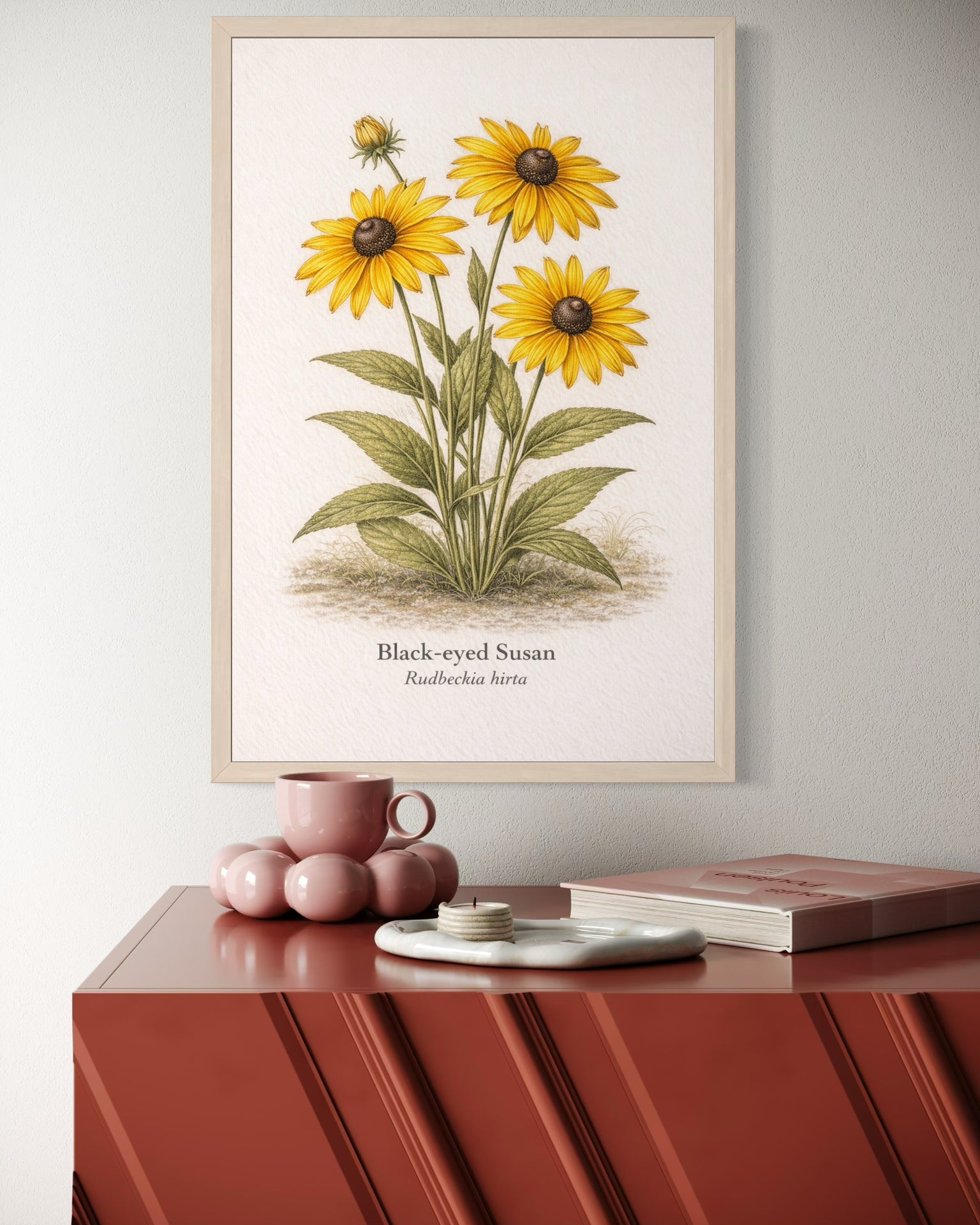 Framed botanical print of Black-eyed Susan on a red surface with decorative items.